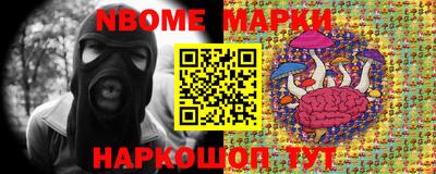 индика Кунгур