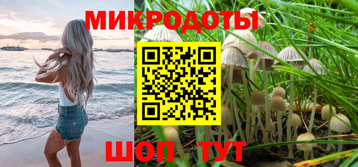Галлюциногенные грибы Psilocybe Жигулёвск