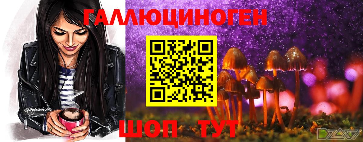 Галлюциногенные грибы ЛСД  Псилоцибиновые грибы Psilocybe  Вход с VPN  Жигулёвск 